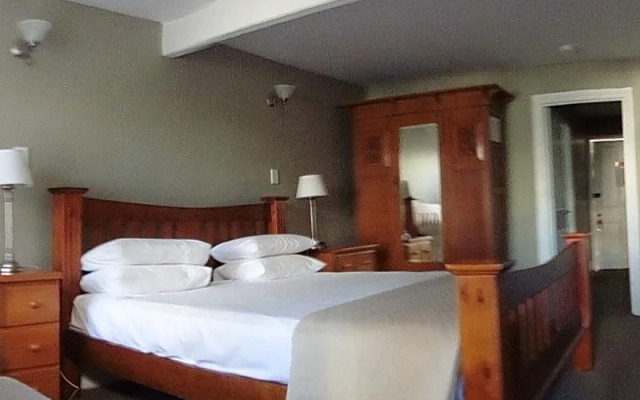 The Nosh and Nod - Howick Street