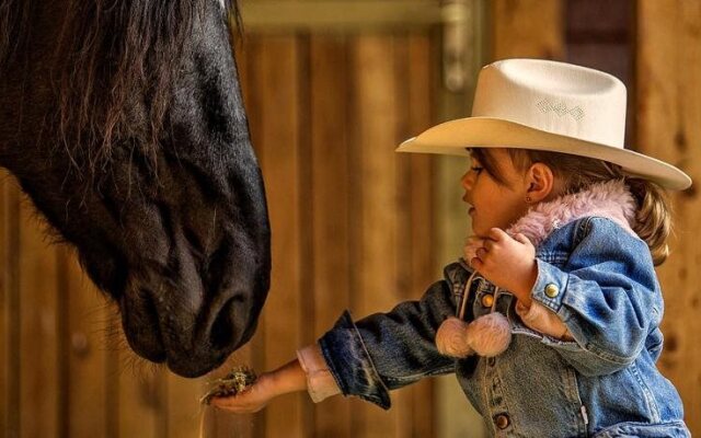 El Bronco Working Ranch