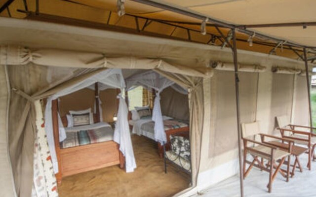 Acacia Migration Camp Ndutu