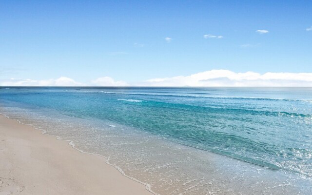 Jack Chasin' Birdies