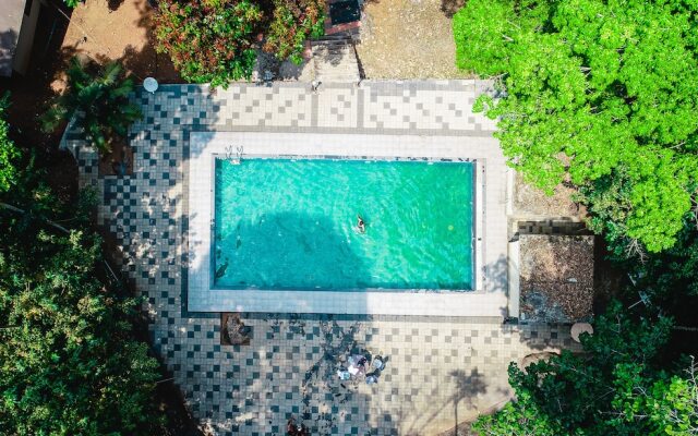 Vythiri Wild Forest Resort