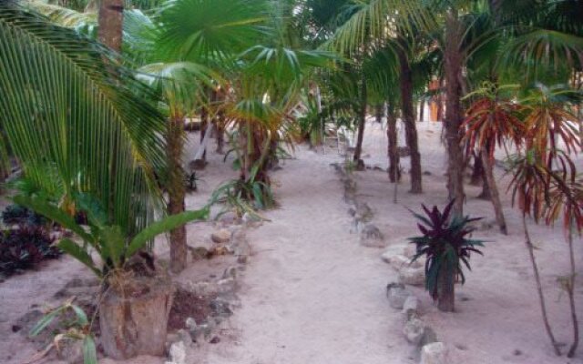 Azucar Tulum
