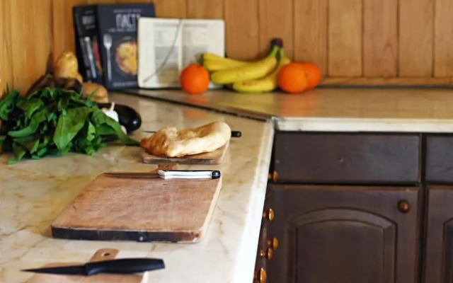 Dingo Backpackers Hostel