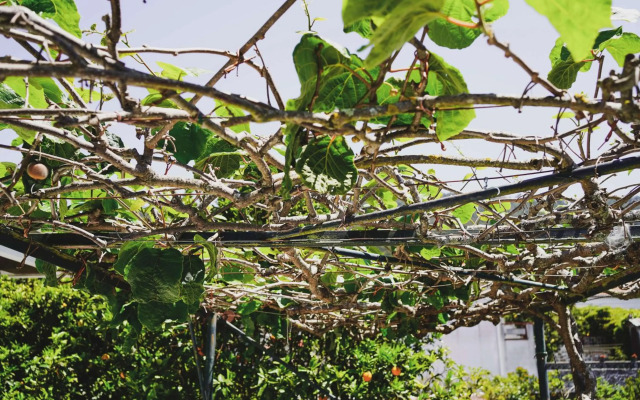 Casa do Avô Horácio