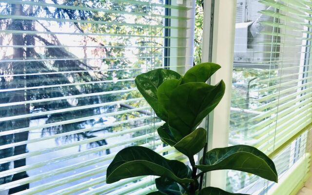 Апартаменты My house on Agmashenebeli street