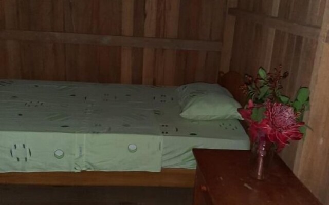 Tambopata Guest House