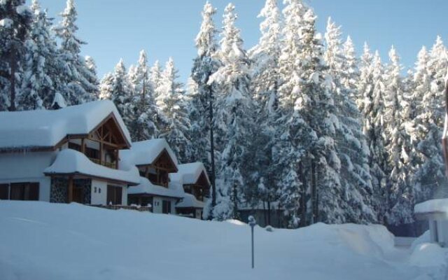 Saint George Borovets Hotel