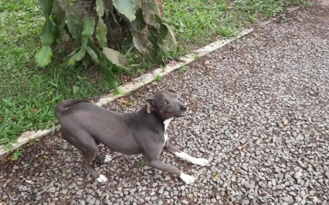 Quarto Suíte Itapoá - SC