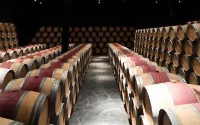 Chateau Pago De Cirsus