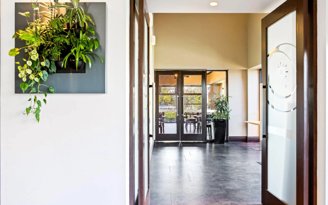 Hotel Elms Christchurch, an Ascend Collection Hotel