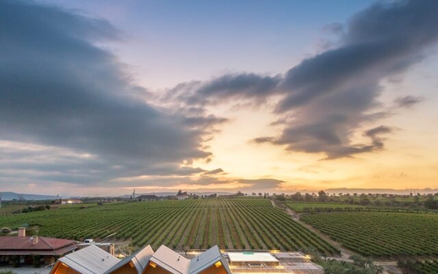 QUINTA DA FAISCA - Agro Turismo