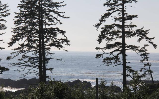 Wild Pacific Retreat