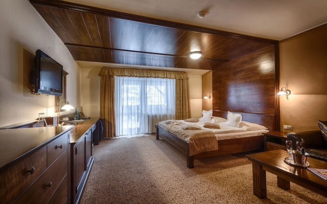 Wellness Hotel Borovica