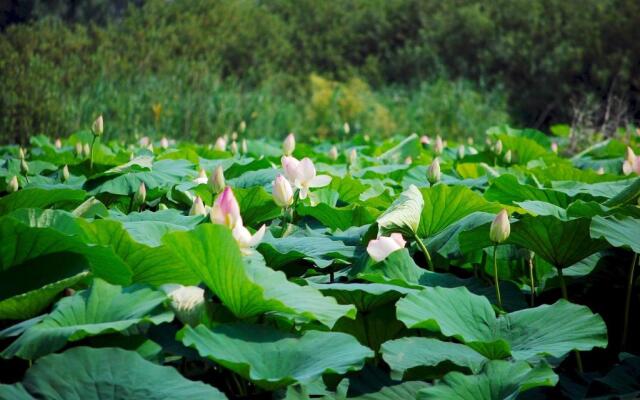 Hotel Antica Dimora , Mantegna Hotels