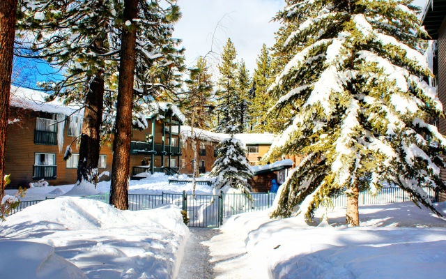 Forest Suites Resort at Heavenly Village