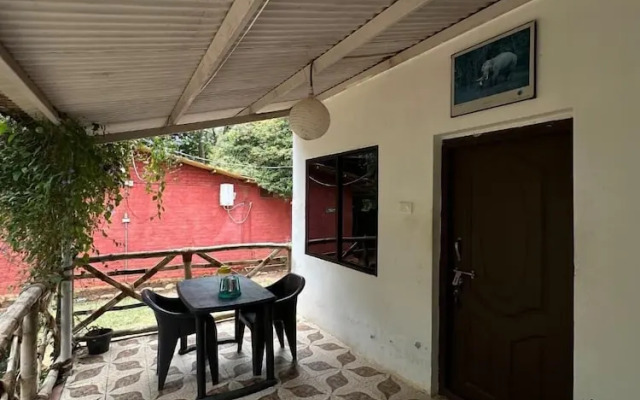 The Big Cat's Den - Maravakandy Resort