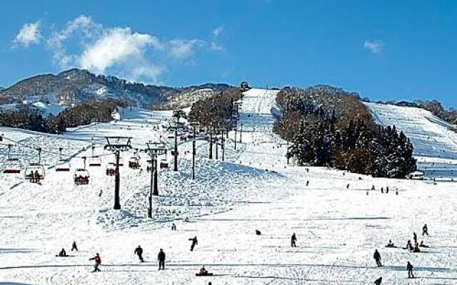 Togari Onsen Alpine Plaza - Vacation STAY 02778v