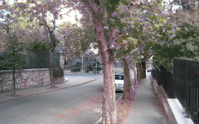 Platán apartman