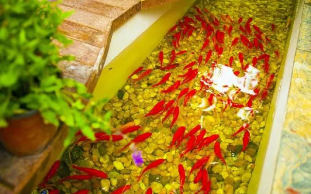 Hangzhou West Lake Yuanjin Inn