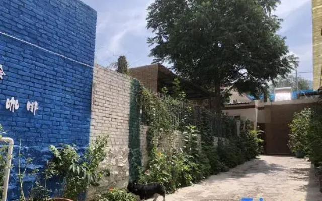 Qingqing Guest House Homestay