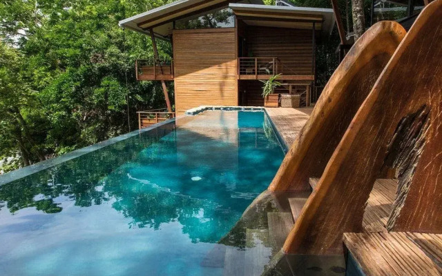 Isla Palenque Member of the Cayuga Collection