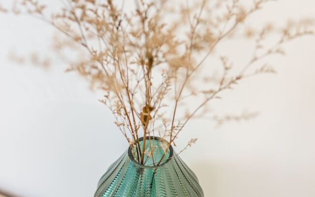 Santa Catarina Charming Loft