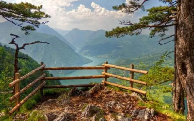 Mountain House Tara Apartmani Nikolic