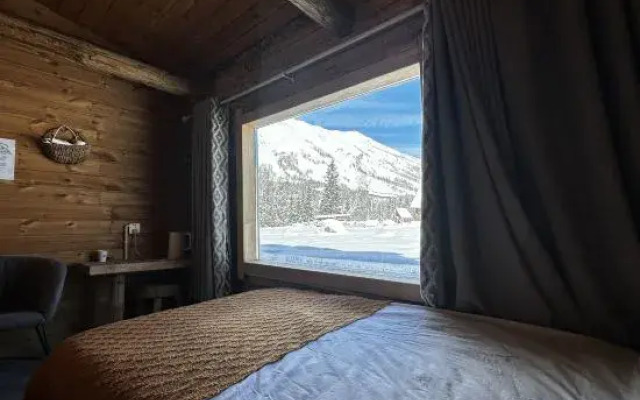 Hemu blueberry Villa