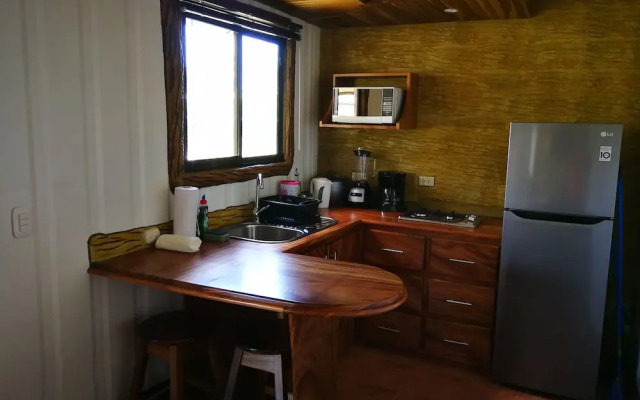 Arenal Homes La Fortuna