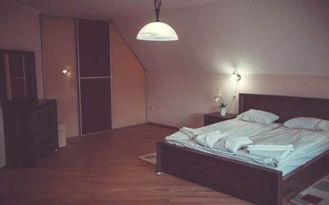 Червона Рута