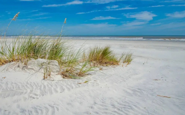 Ocean Reef #102