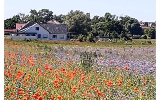 Time out Modern Retreat