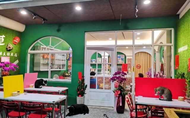 ANKES Hostel