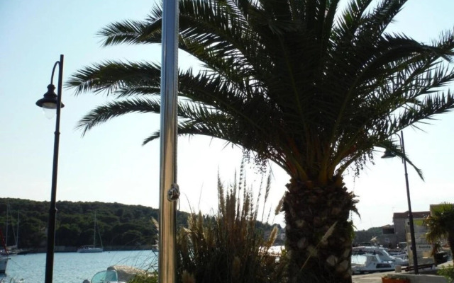 Mirni - 5 m From sea - A1