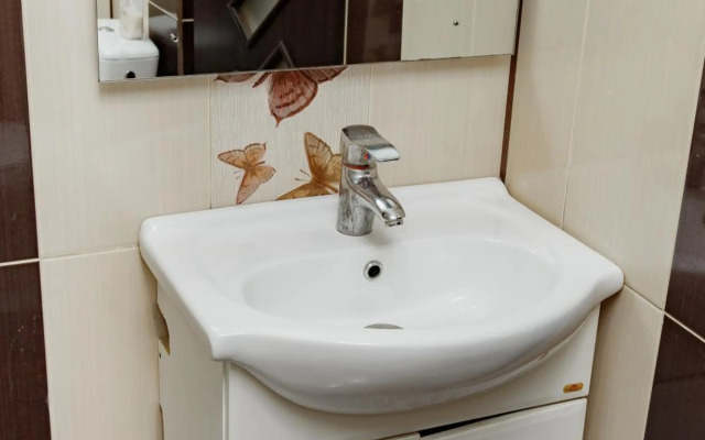 Transitional Havryky Apartment