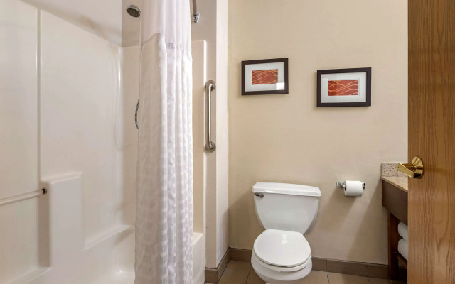 Comfort Inn And Suites Paw Paw