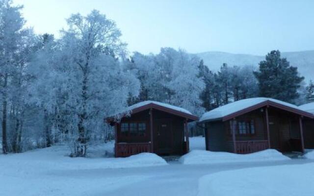 Birkelund Camping