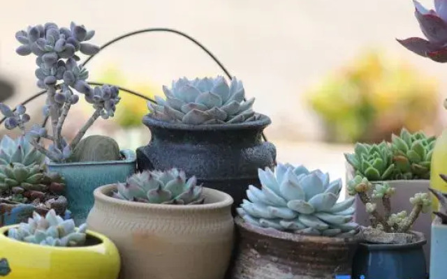 Yewang Su Lake View Light Luxury Hostel