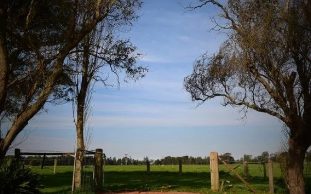 The Willows B n B