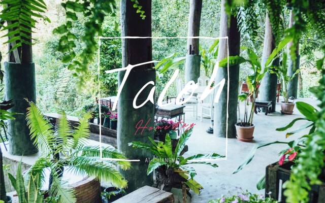 Taloh Homestay Chiangmai