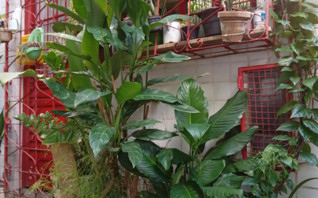 Se hospede num Cantinho Gourmet