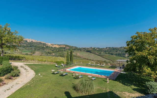 The Grapevine by MANVI