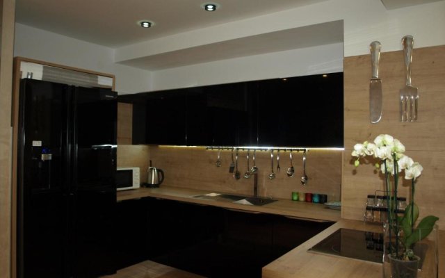 Anthurium Lux Apartment