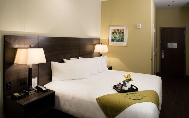 Malana Hotels & Suites