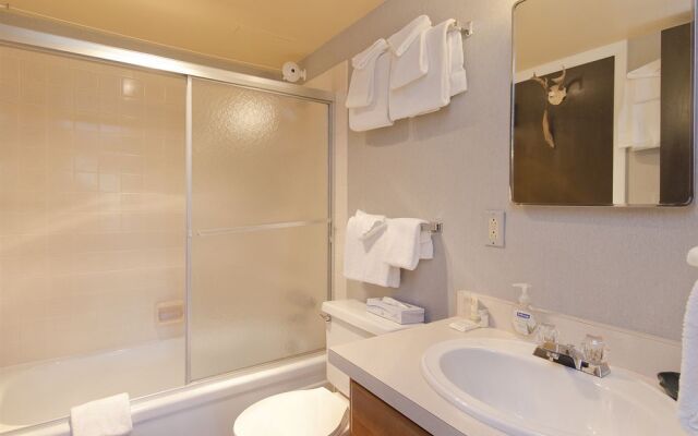 Storm Meadows East Slopeside - SE056