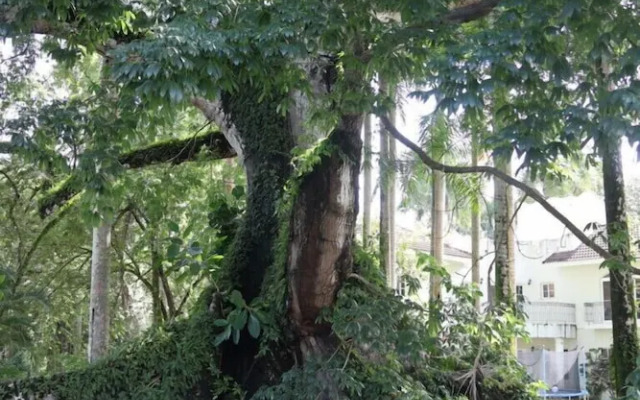 REFUGIO Sabaneta de Yásica