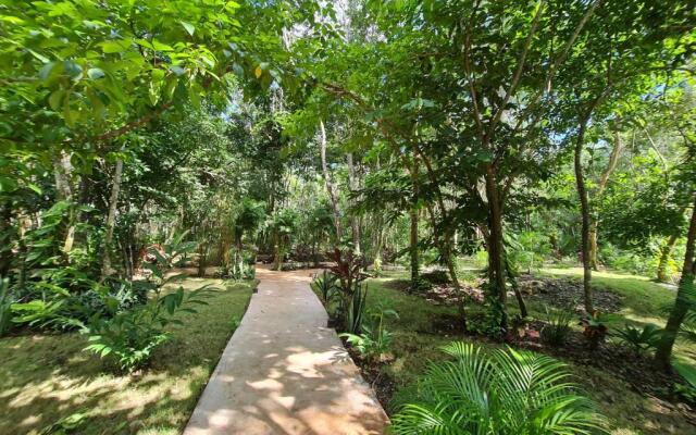 Secret Gardens Bacalar Suite 01 con alberca y bicicletas