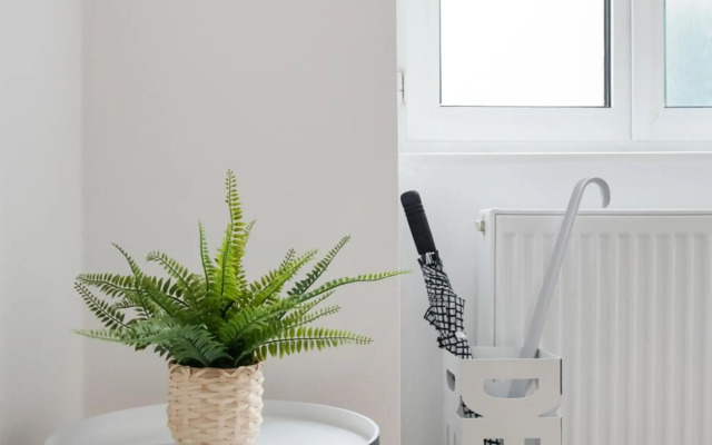 Bright, Cozy & Quiet