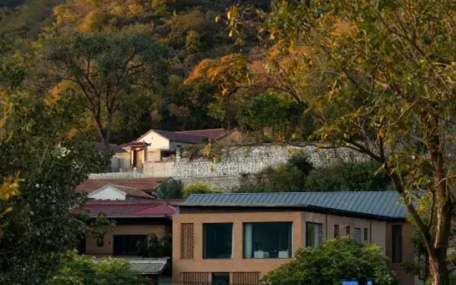 Rareyard  Liushigang