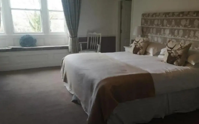 OYO New Inn Hotel